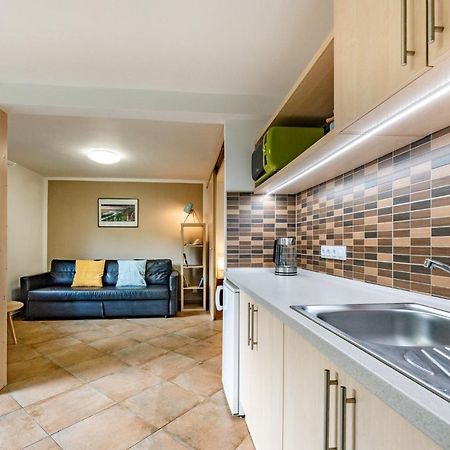 Apartment Vaclavov Decin Exterior foto